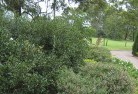 Wimborneresidential-landscaping-35.jpg; ?>