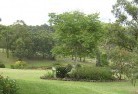 Wimborneresidential-landscaping-40.jpg; ?>